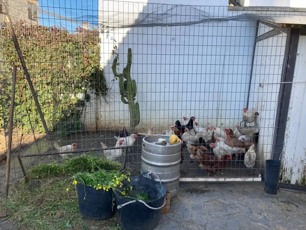 Chalet con jardín en venta en Medina Sidonia, imagen 47