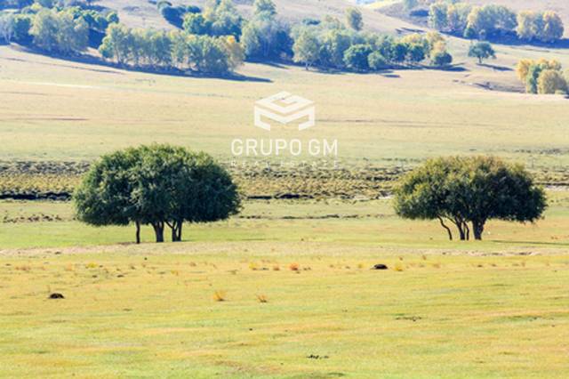 Terreno en Venta en N/A en Peraleda del Zaucejo