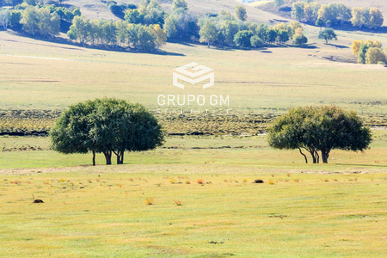Grundstücke zum verkauf in Peraleda del Zaucejo