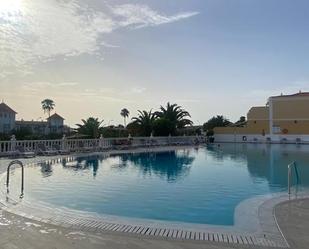 Piscina de Pis de lloguer en Adeje amb Terrassa