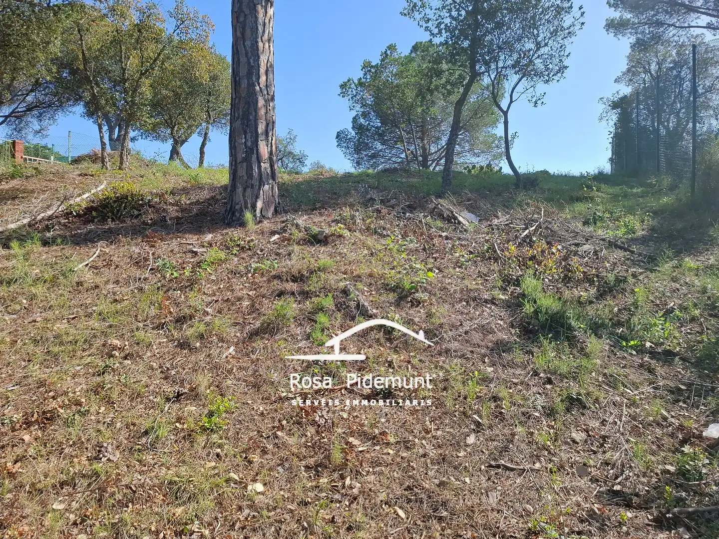 Residential land for sale in Carrer Finestrelles, imagen 12