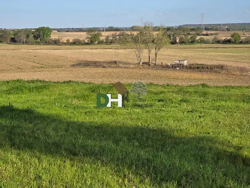 Terreni e lotti in vendita a Aguas Vivas - La Zambomba, imagen 2