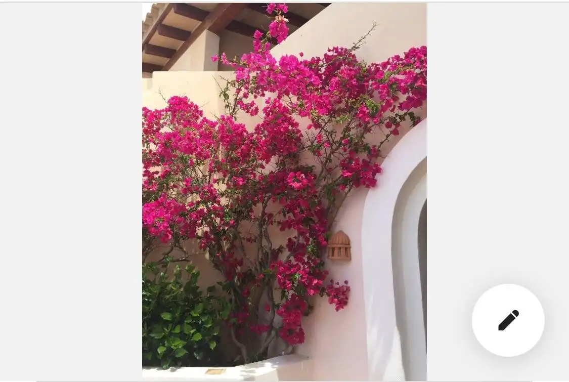Jardín de Casa o chalet de alquiler en Andratx con Calefacción, Jardín privado y Terraza