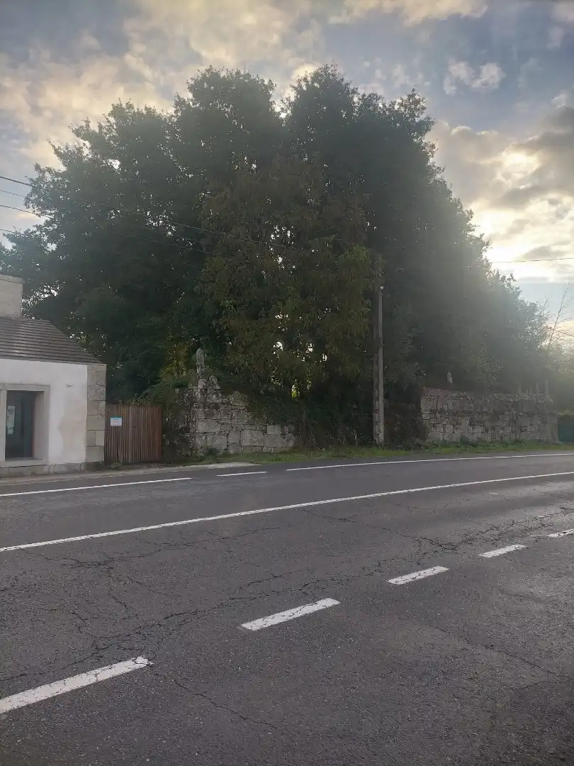 Terreni e lotti in vendita a Boborás, imagen 2