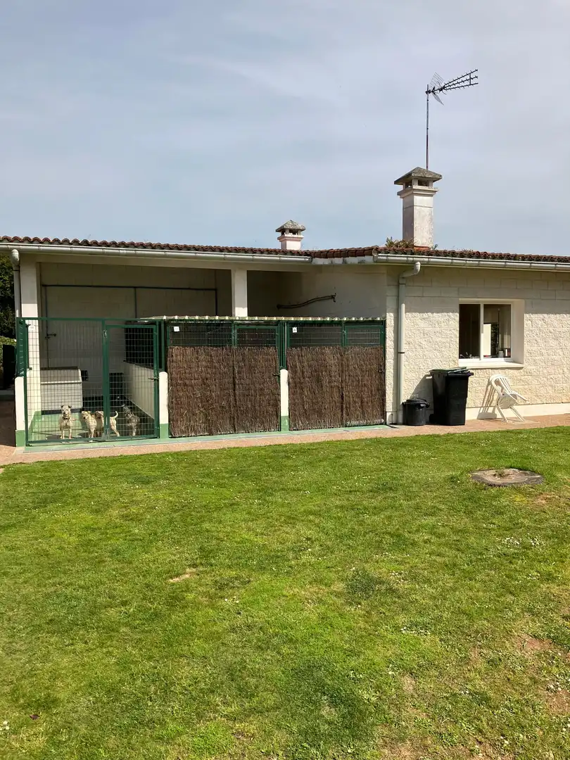 Garden of Houses for sale in Abegondo