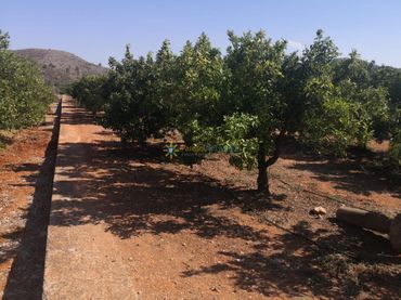 Terreno rustico in vendita a Oliva pueblo