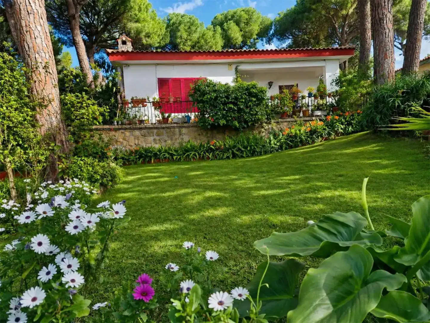 Jardí de Casa o xalet en venda en Oromana 