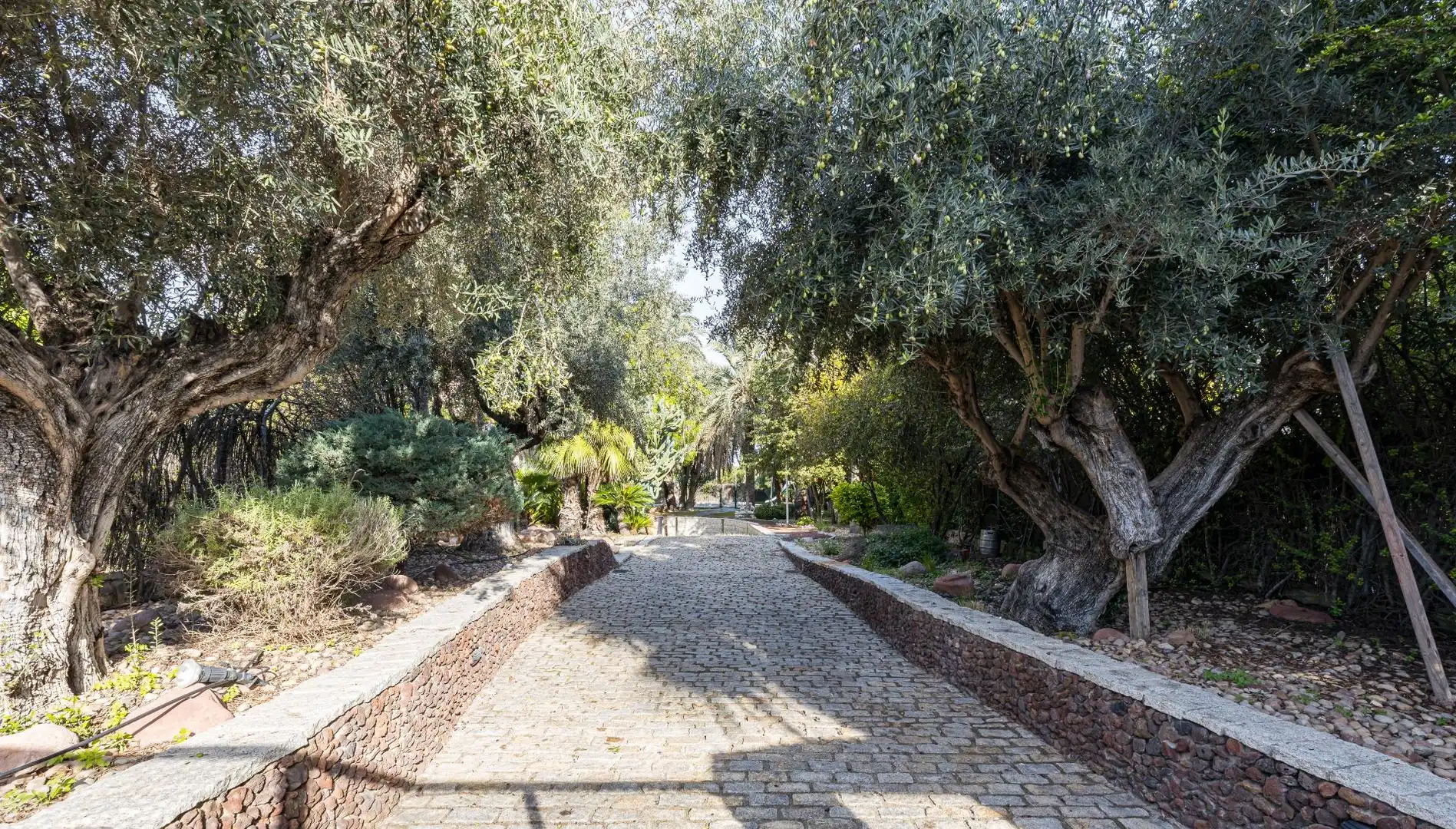 Vista exterior de Casa o xalet en venda en Murcia amb Jardí privat, Terrassa i Traster