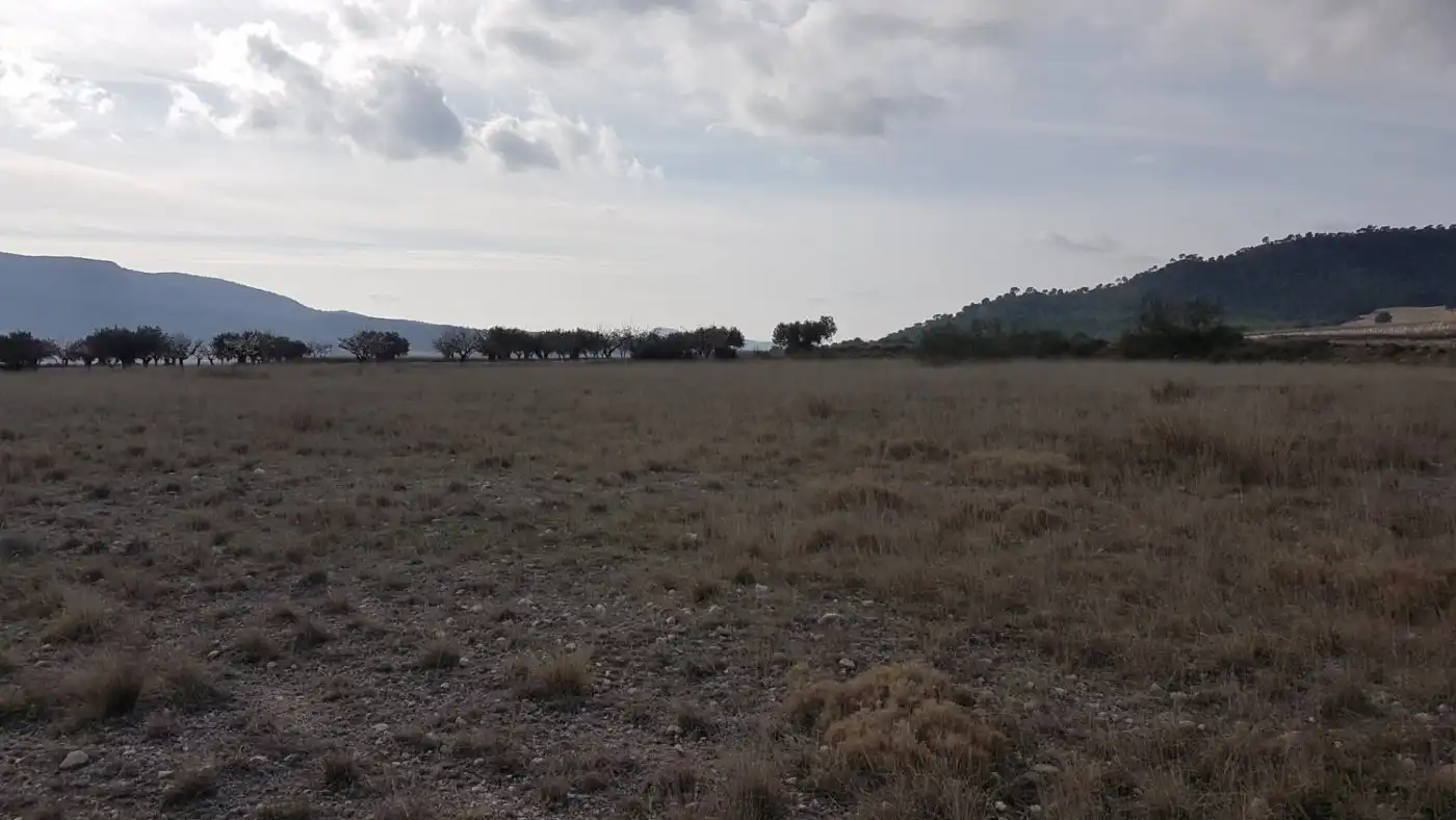 Finca rústica en venda en Salinas
