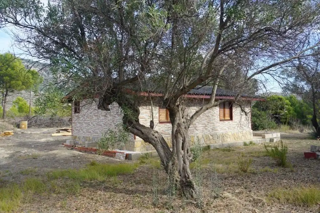 Exterior view of Land for sale in El Castell de Guadalest