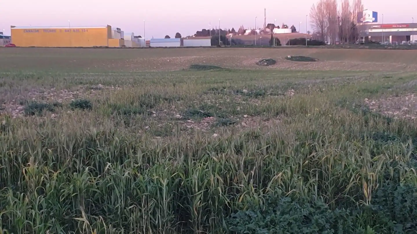 Terreni e lotti in vendita a Tarancón