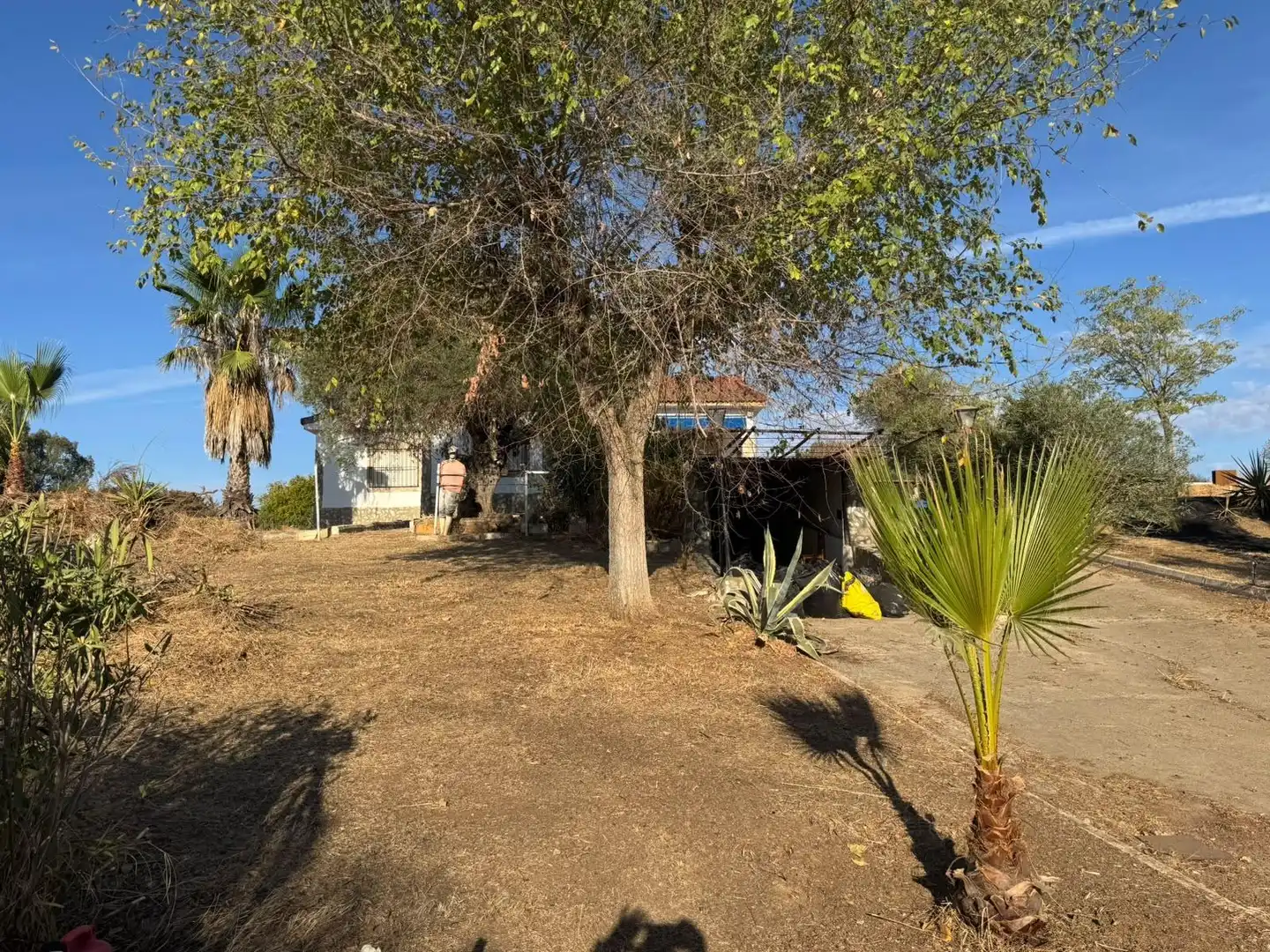 Casa o xalet en venda en Sanlúcar la Mayor, Sevilla