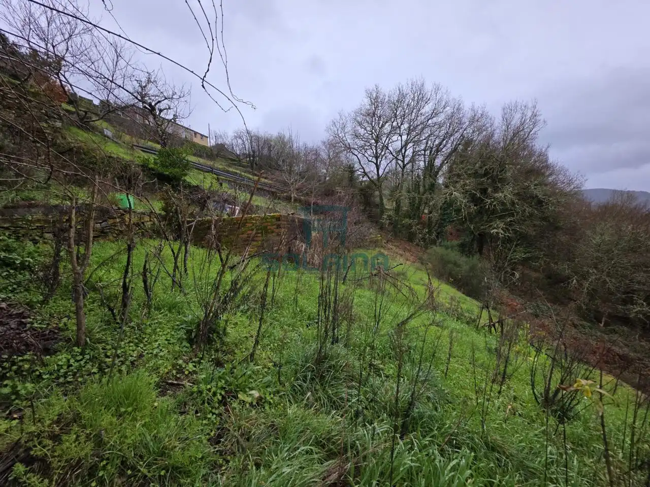 Casa o xalet en venda en Pantón amb Calefacció i Jardí privat