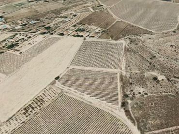 Terreno residencial en venta en Novelda