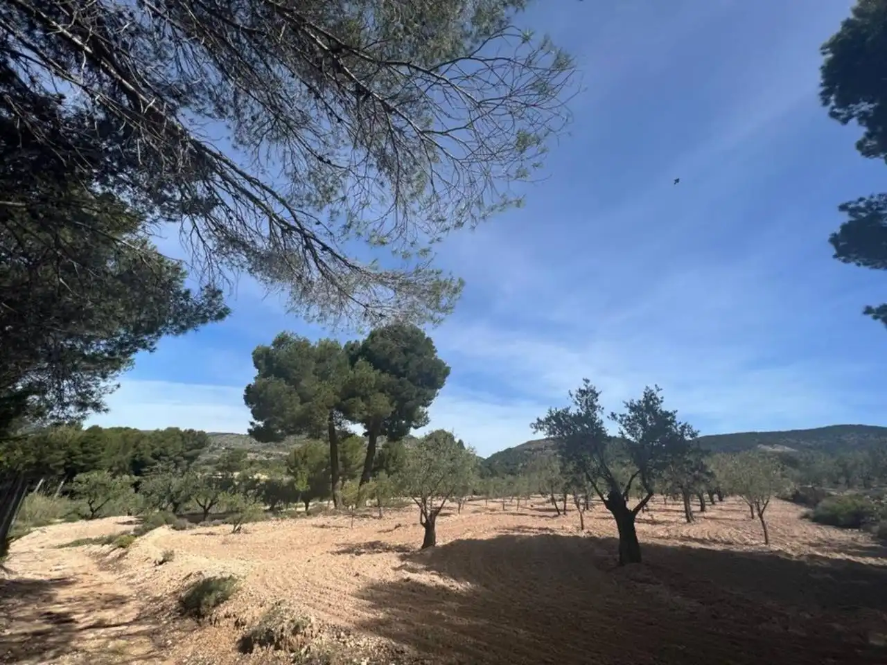 Chalet con jardín en venta en Calle Poligono, imagen 120