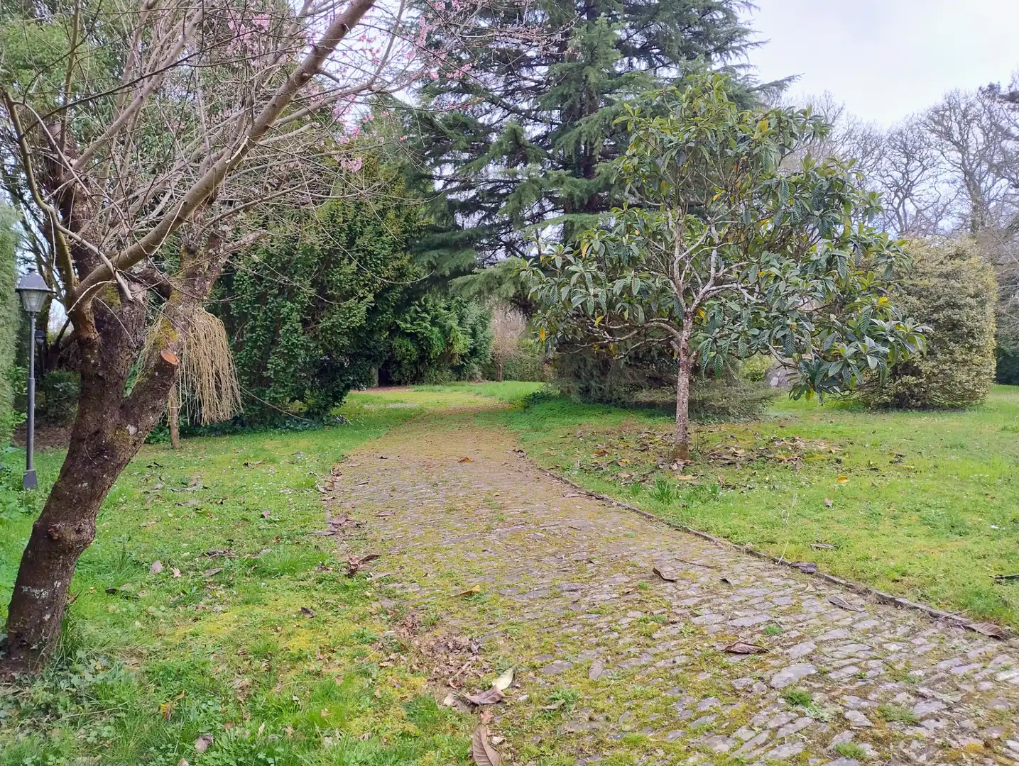 Casa o chalet en venta en Lugo con Amueblado