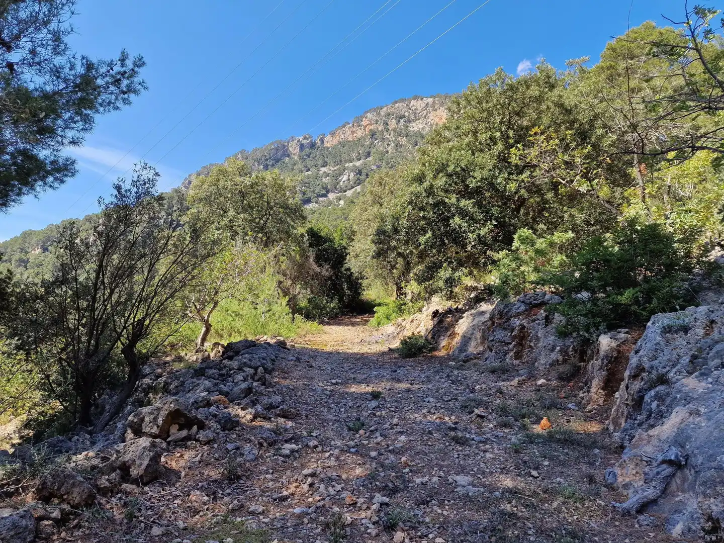 Terreno en venta en Sóller