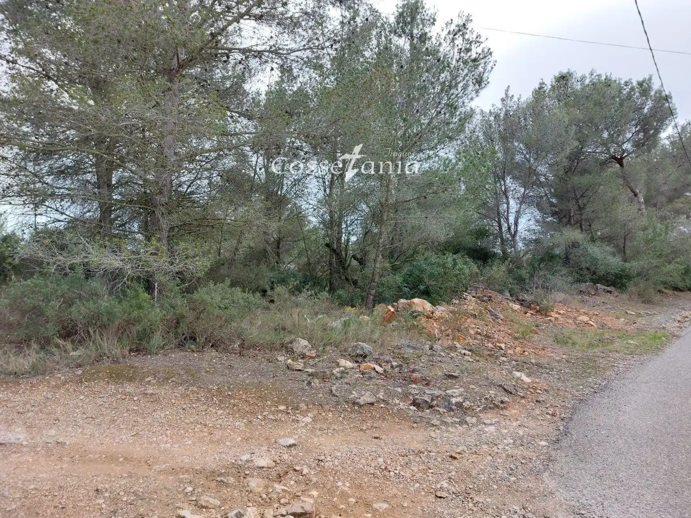 Rural land for sale in avet de l'  en  la masieta, imagen 9