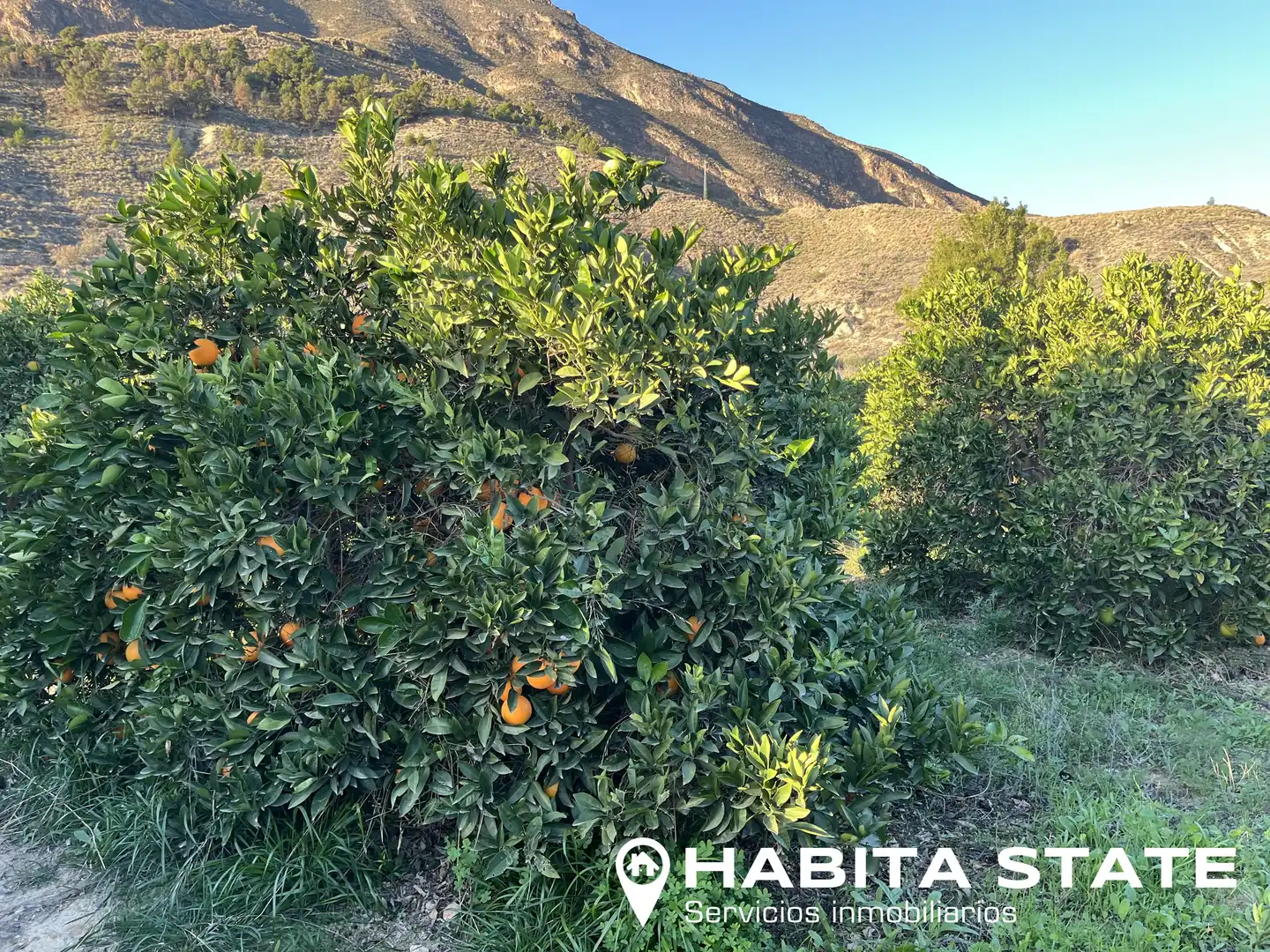 Vista exterior de Terreno en venta en Íllar
