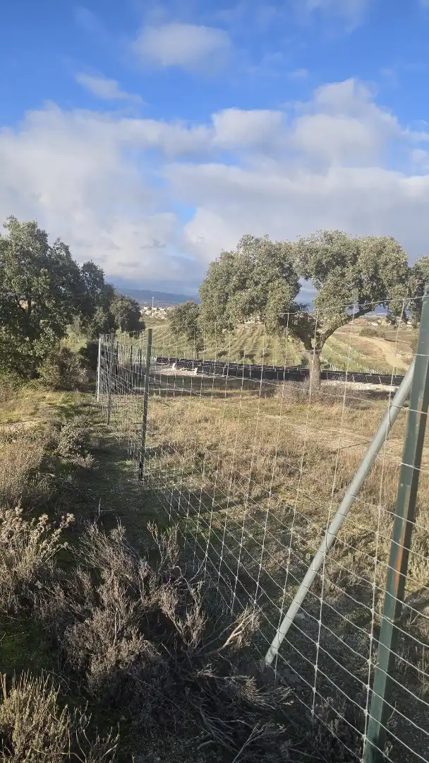 Rustikales Grundstück zum Verkauf in Calle Camino del Palacio 11, imagen 11