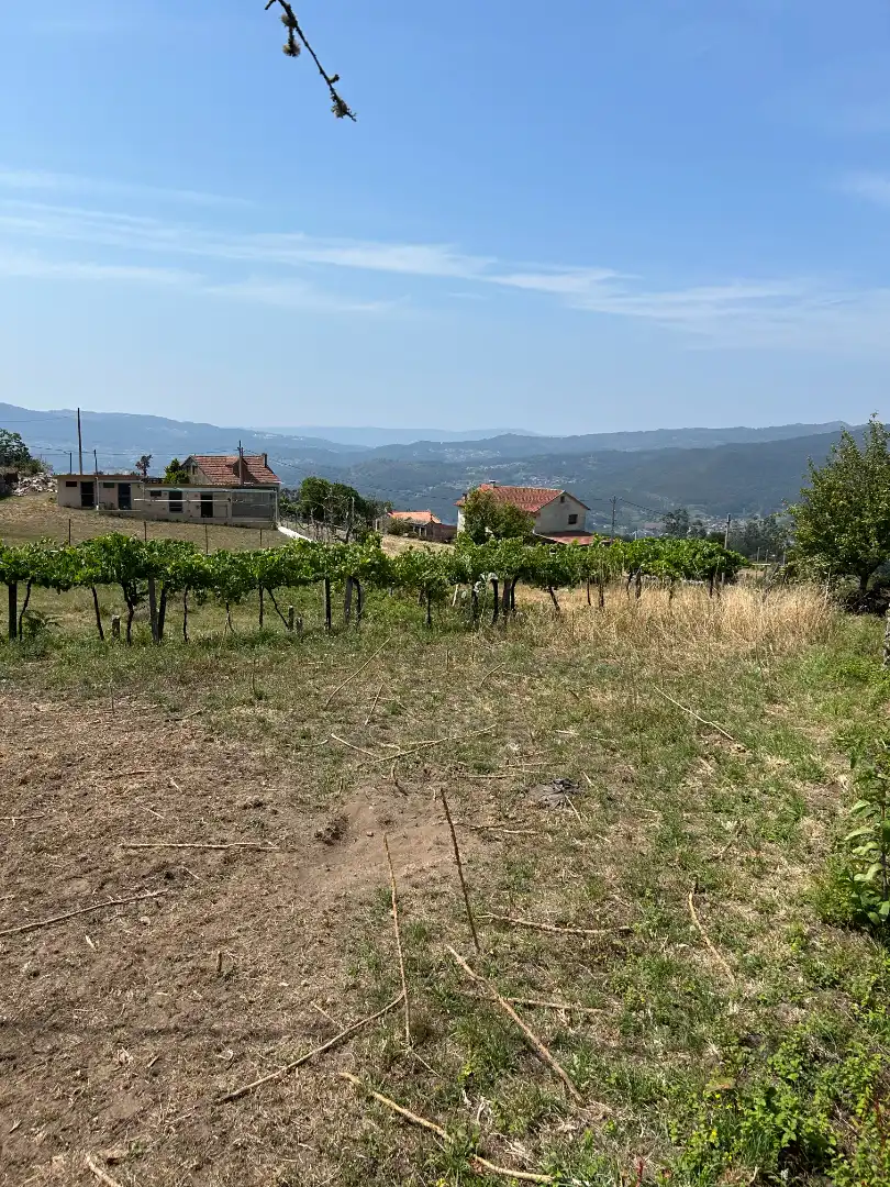 Lands and plots for sale in Poblado Lourido, imagen 8
