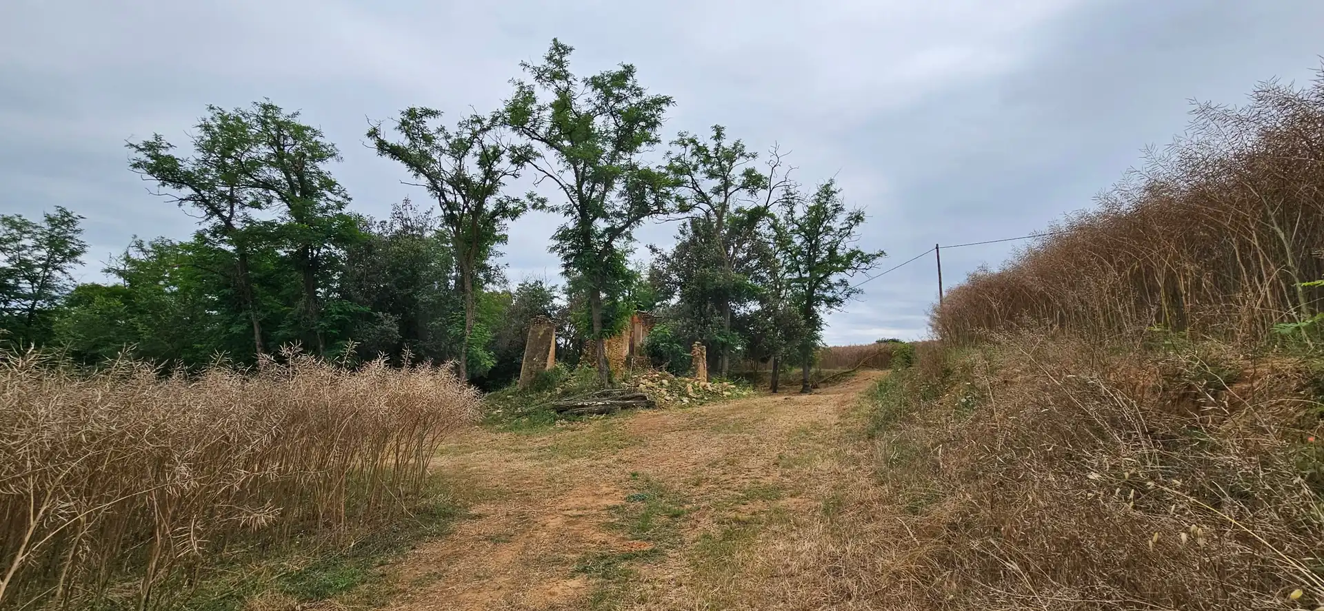Terreno en venta en Cornellà del Terri