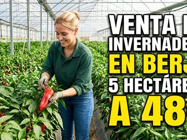 Terreno rustico in vendita a Avenida las Alpujarras 79