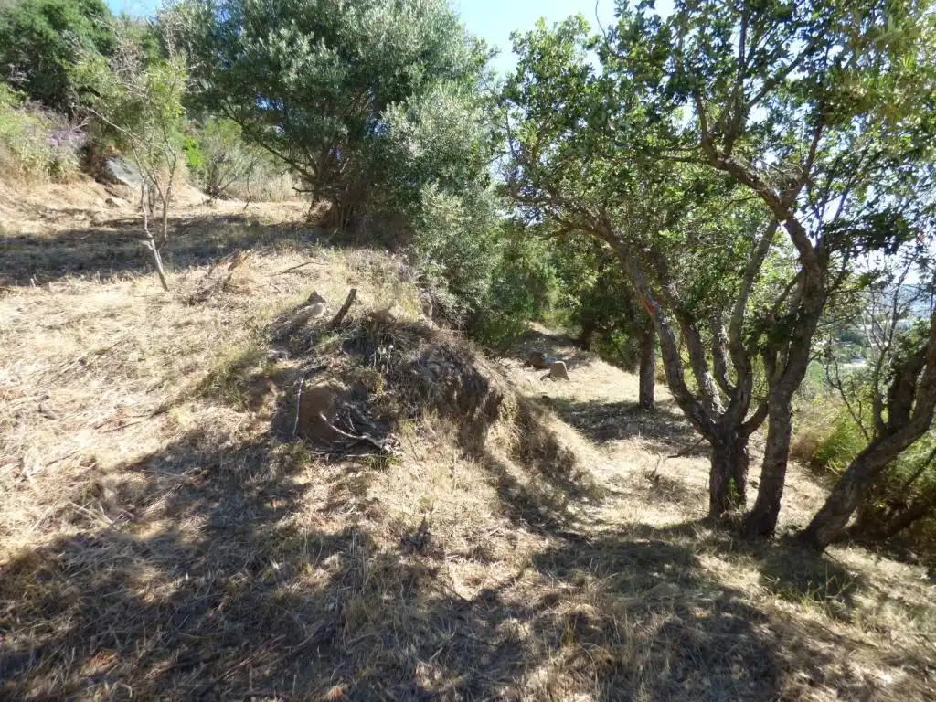 Terrain résidentiel à vendre à Carrer Siena, imagen 7