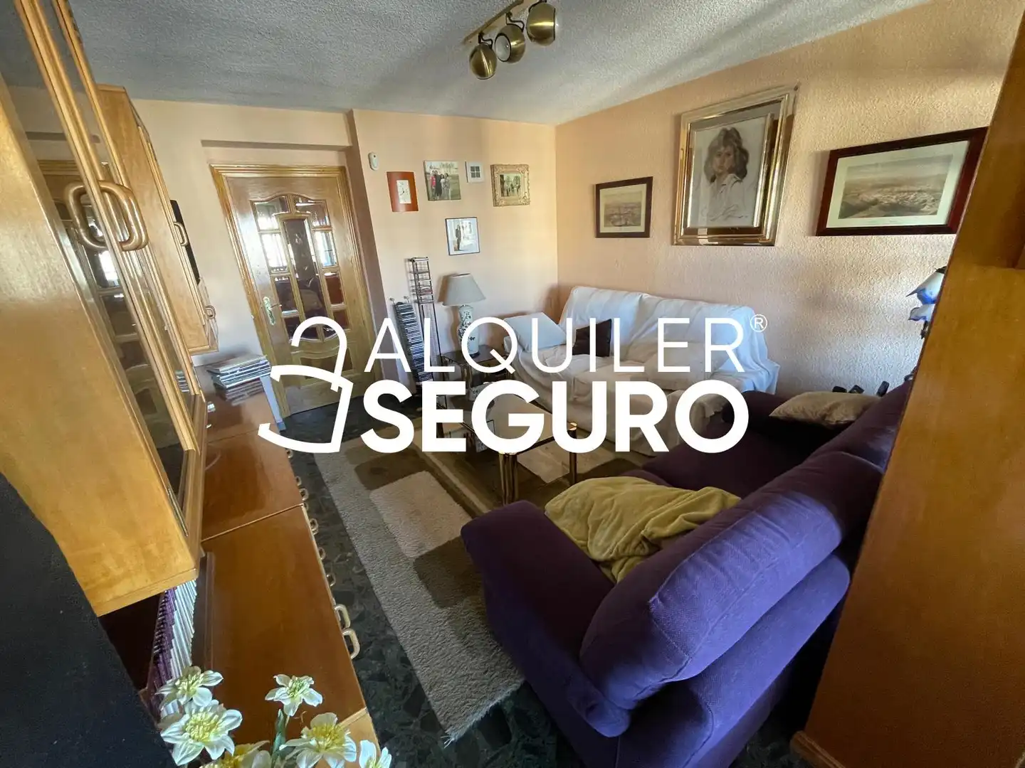 Sala de estar de Piso de alquiler en Madrid con Calefacción, Terraza y Amueblado
