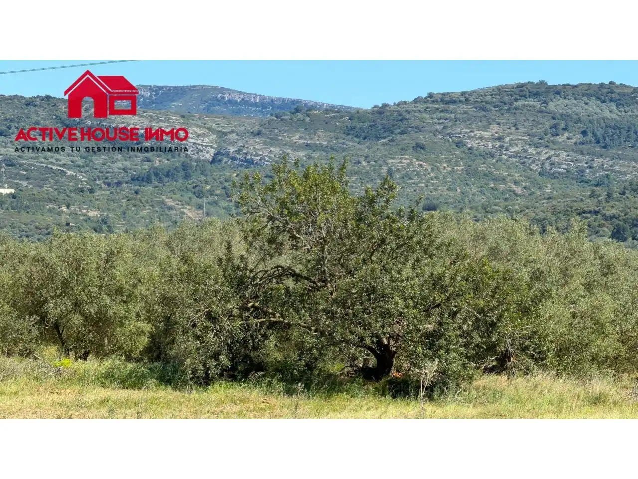 Rural land for sale in Calle Poligono 40 Planetes, imagen 6