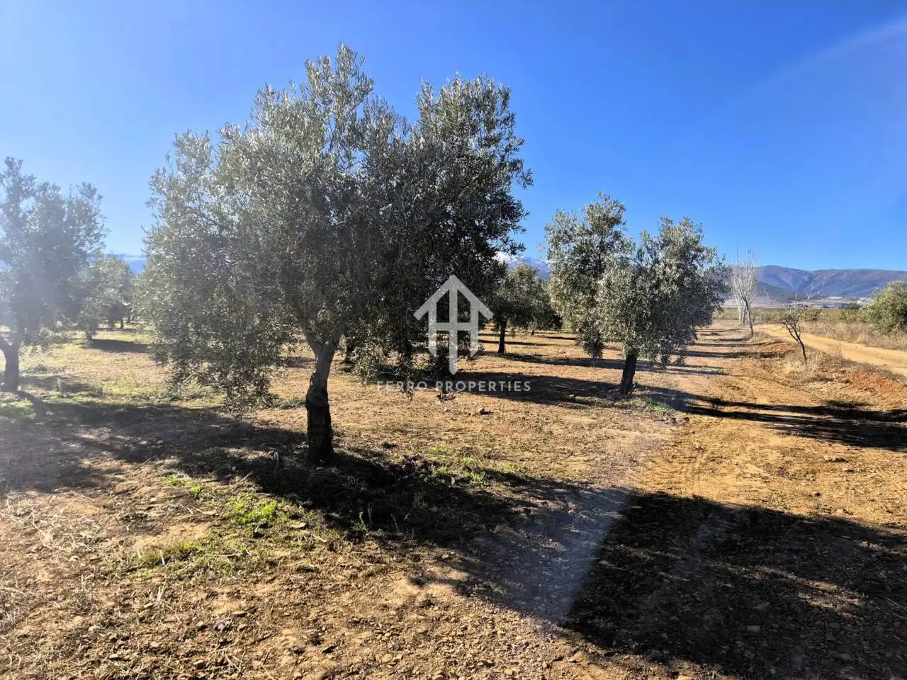 Lands and plots for sale in Lanteira, imagen 36
