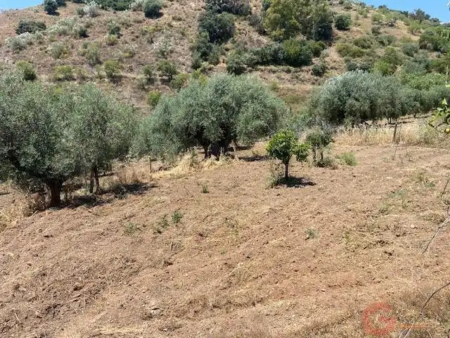 Casa rústica en venda a Comares, imagen 5