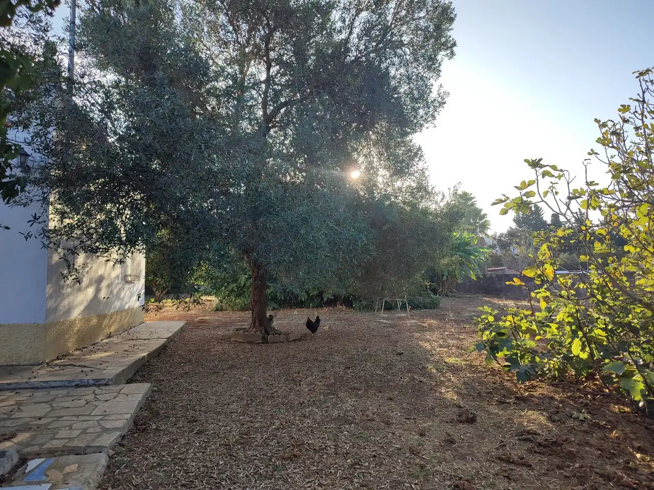 Jardín de Casa o chalet en venta en Conil de la Frontera con Aire acondicionado, Terraza y Trastero