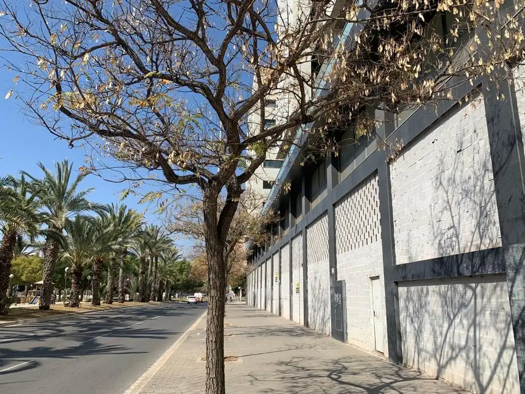 Exterior view of Office for sale in Alicante / Alacant  with Air Conditioner