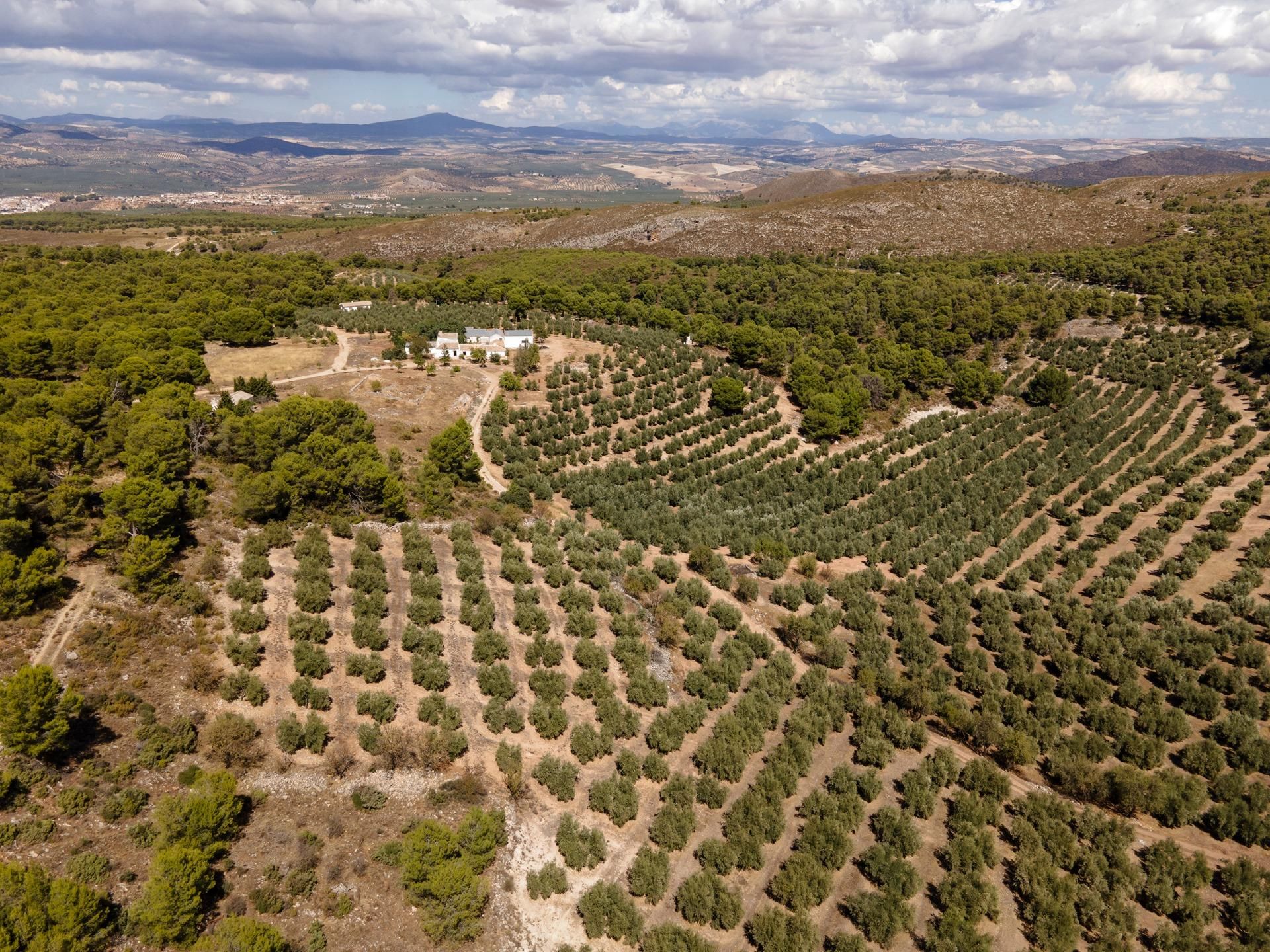 Country house zum verkauf in Iznalloz