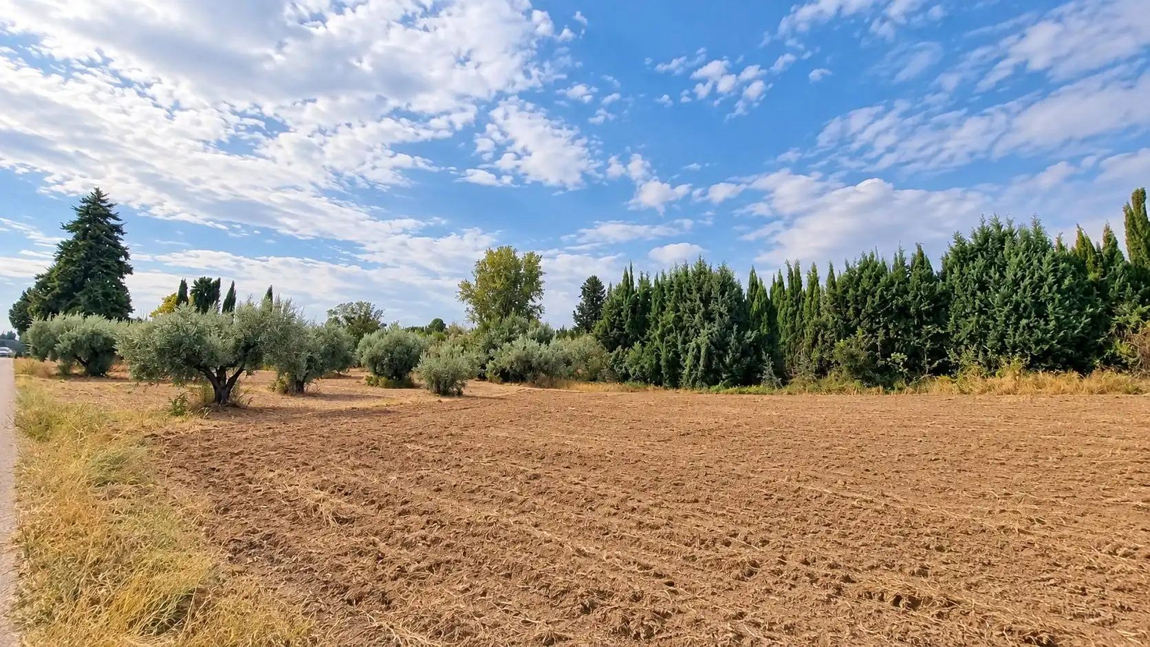 Terreno rústico en venta en Moraleda de Zafayona, imagen 24