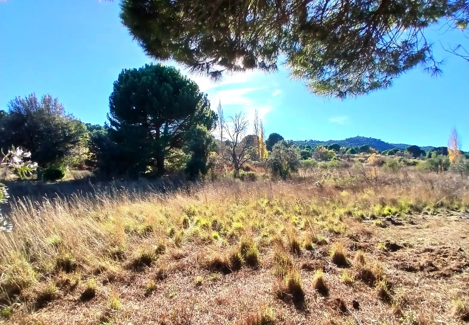 Rural land for sale in M-501, imagen 3