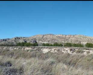 Vista exterior de Terreny en venda en Osera de Ebro