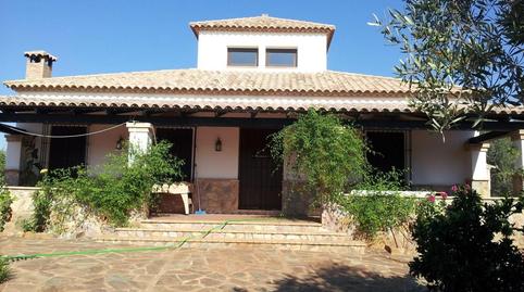 Foto 3 de Finca rústica en venda a  de las Navas a Puebla de Los Infantes, 10, Las Navas de la Concepción, Sevilla