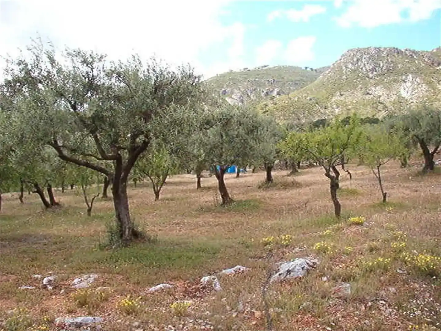Terreno en venta en Los Guájares