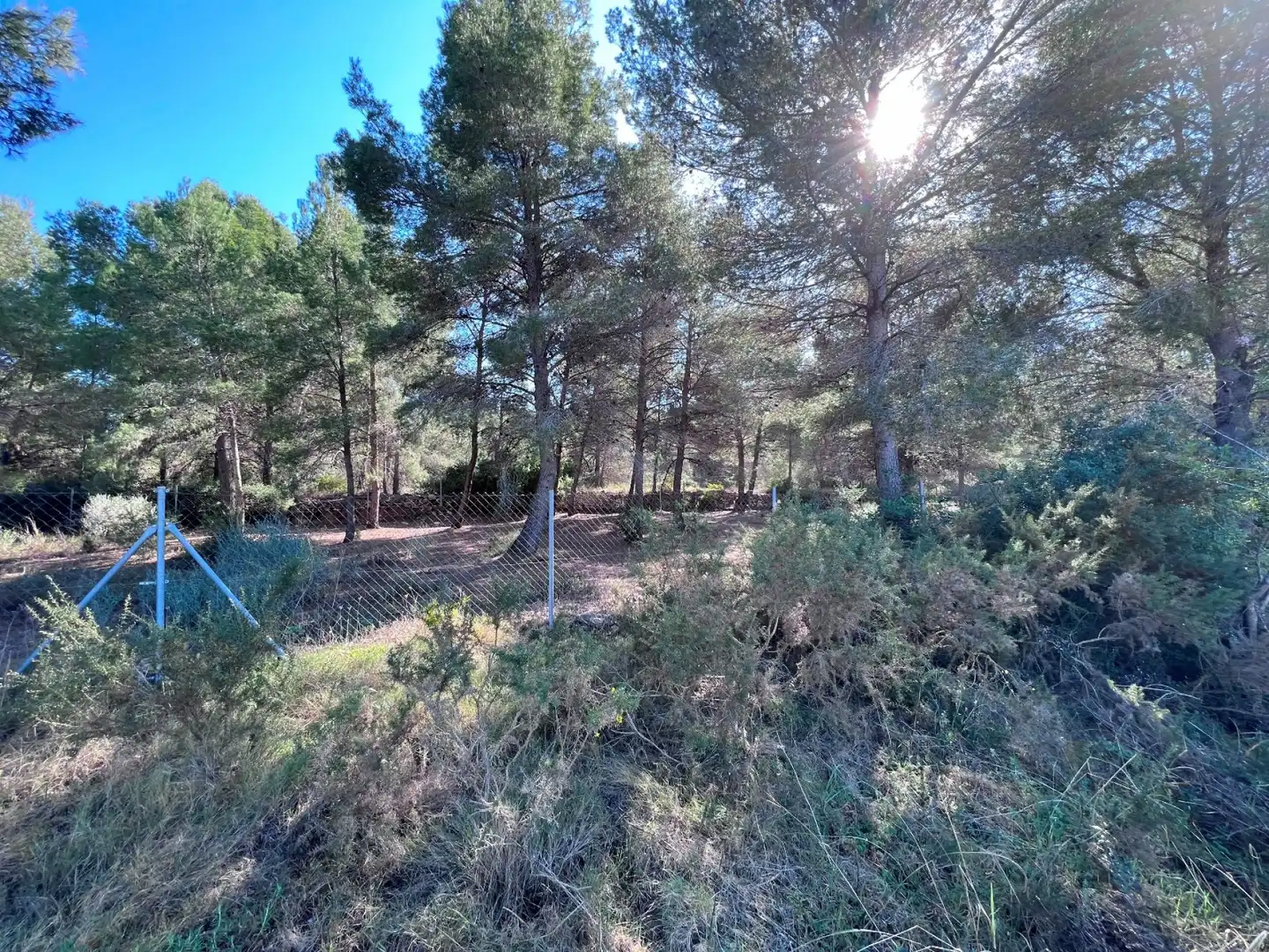 Terrenos y solares en venta en La Vall d'Uixó, imagen 12