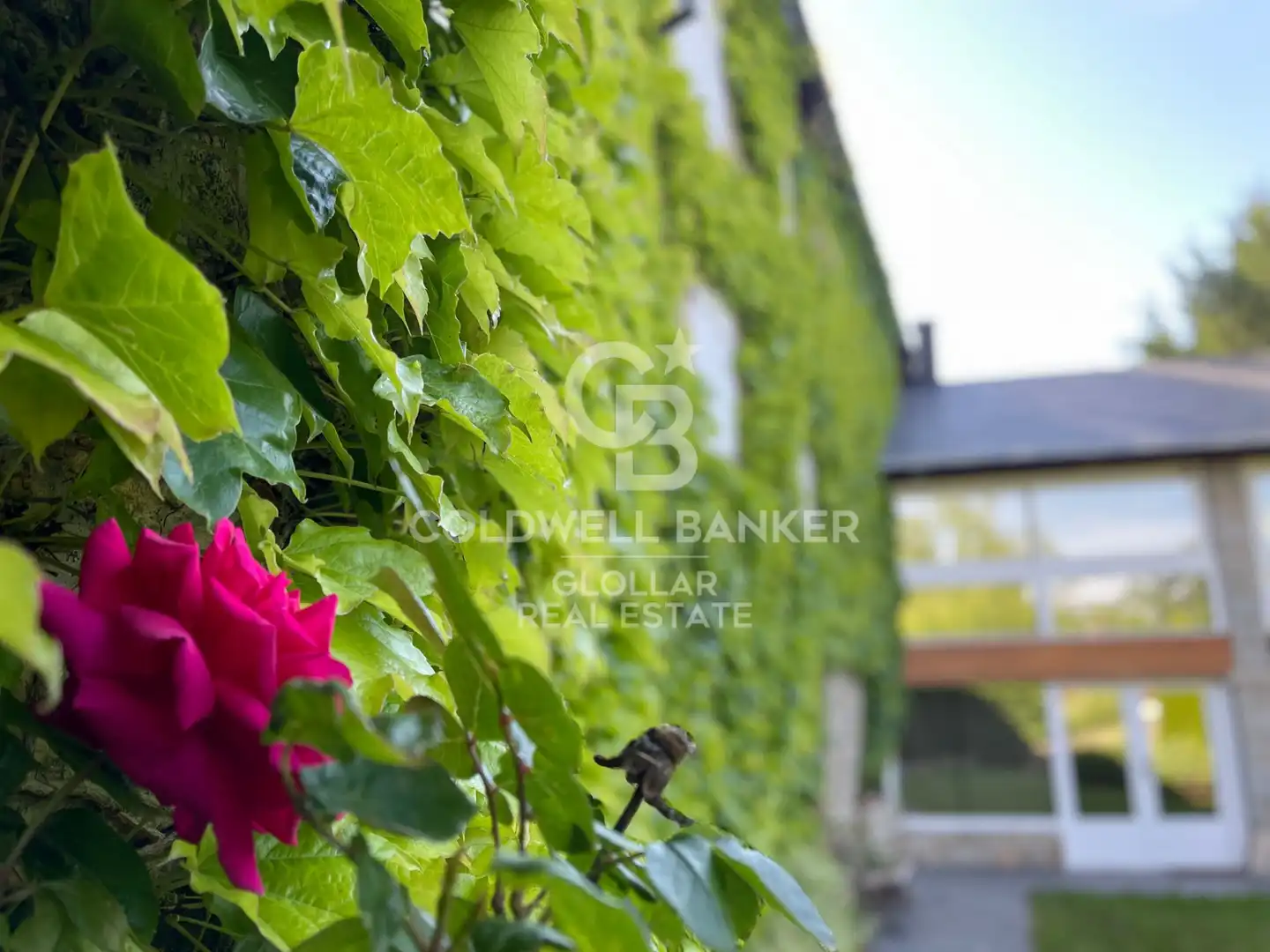 Vista exterior de Finca rústica en venta en Targassonne con Calefacción, Jardín privado y Parquet