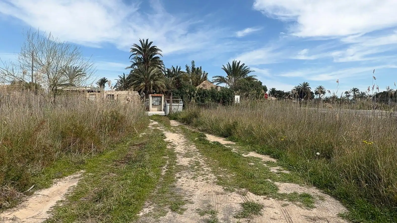 Grundstücke zum Verkauf in Elche / Elx