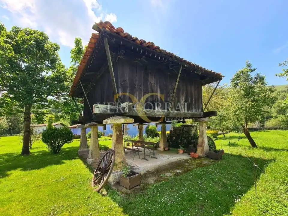 Exterior view of Buildings for sale in Cangas de Onís