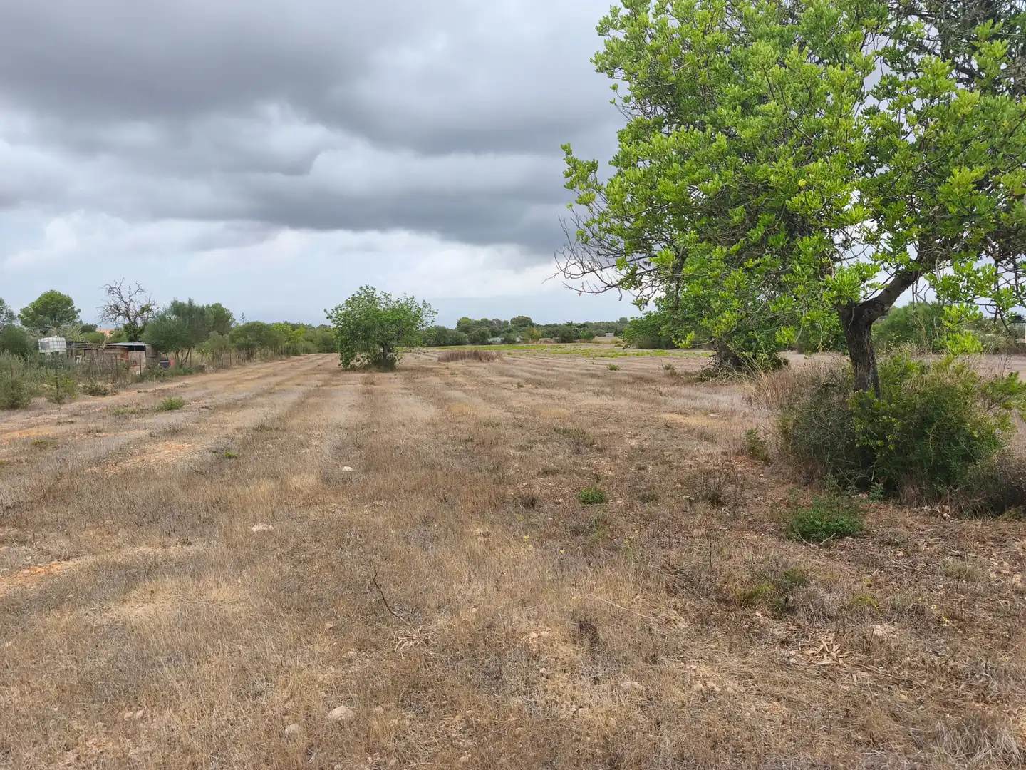 Terrain résidentiel à vendre à Algaida, imagen 7