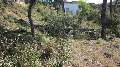 Foto 2 de Residencial en venda a Carrer del Puig Colomer, Terrafortuna - Puig Ventós, Vidreres