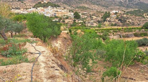 Finca Rúst. en venta en Sella.