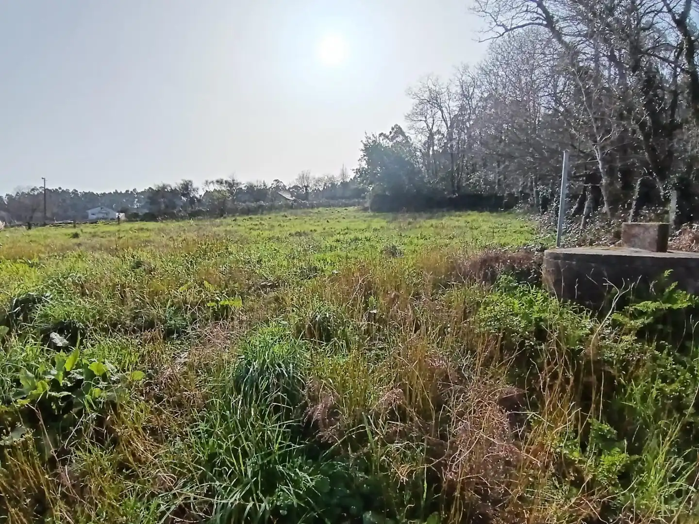 Country homes for sale in Meis