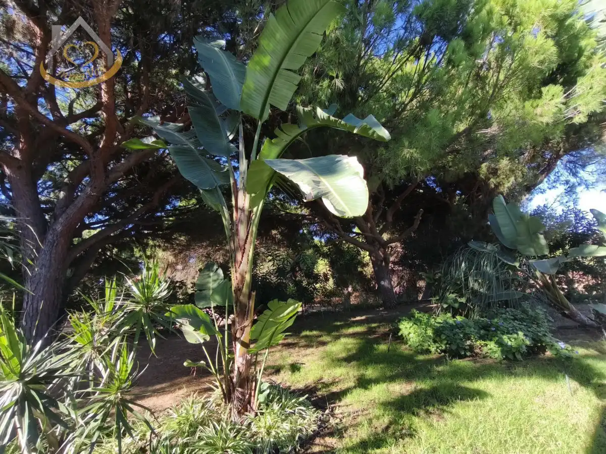 Garten von Grundstücke zum Verkauf in Isla Cristina