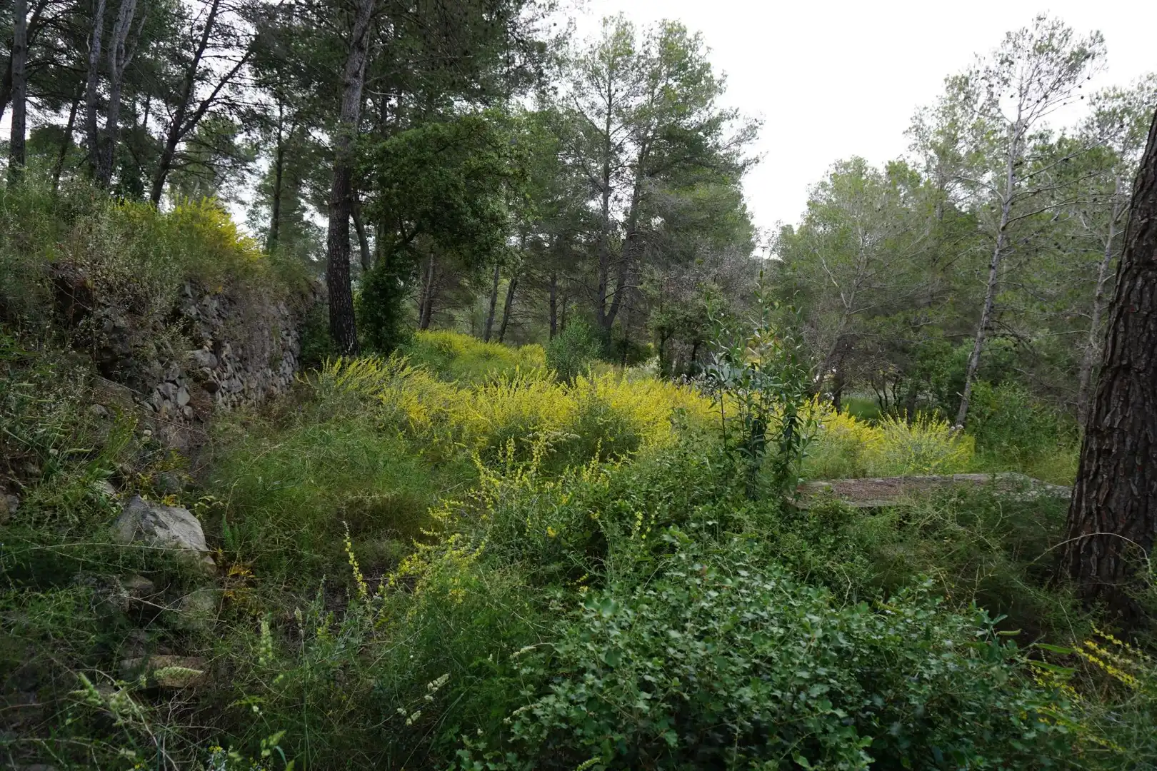 Terreno residenziale in vendita a Calle Ferreteries, imagen 25